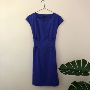 Periwinkle Gianni Bini Dress